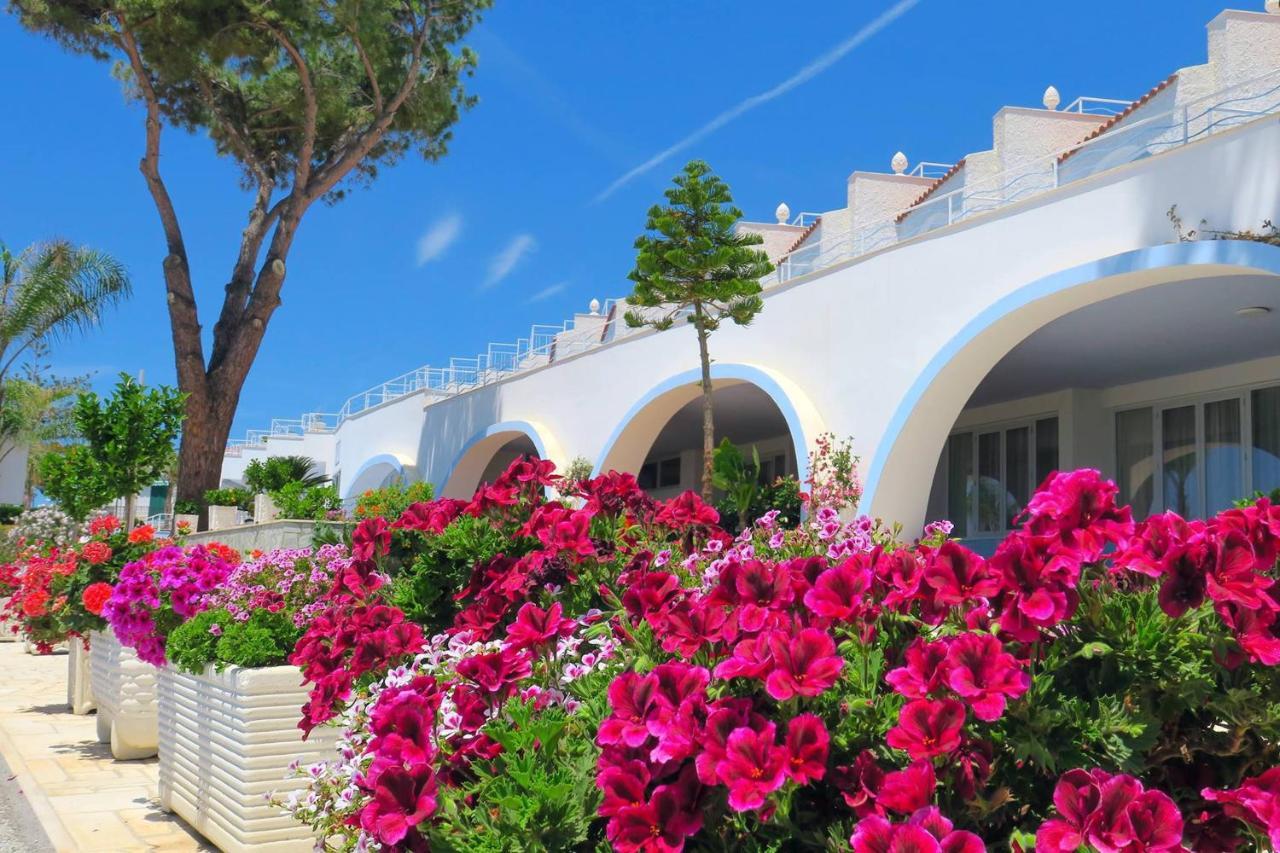 Hotel Ferretti Diamante Exterior foto